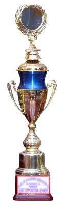Partner Image